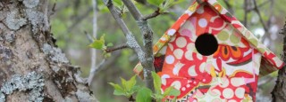 bird-house-and-bridge-0151-1024x659