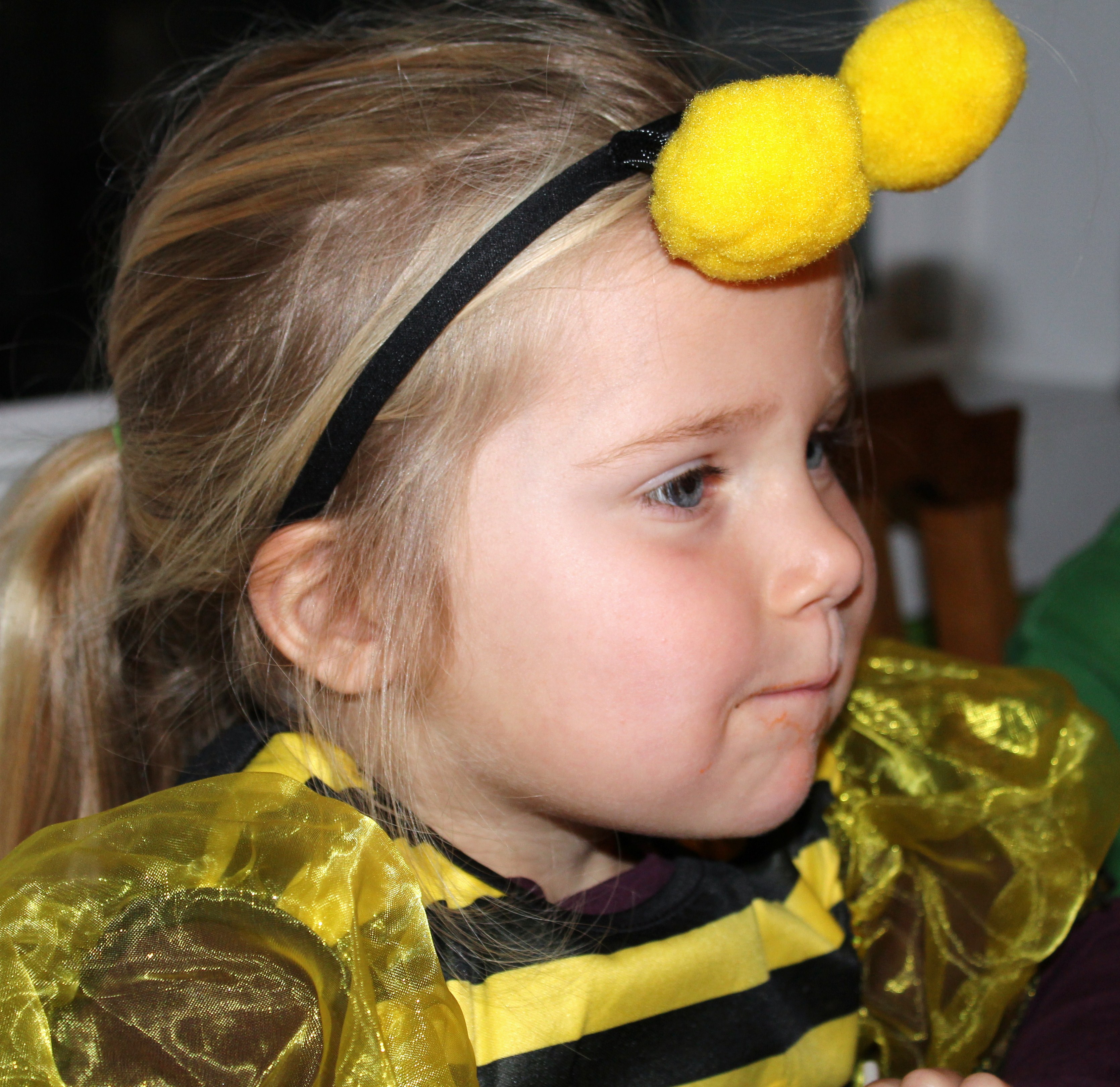 A bumblee bee birthday