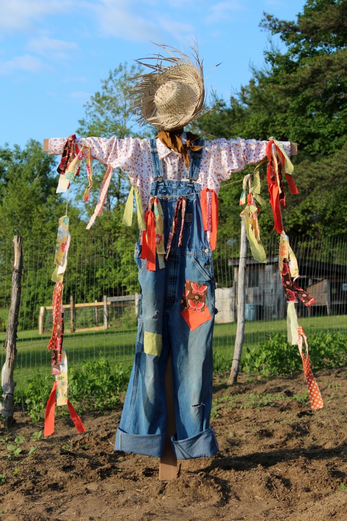scarecrow 022