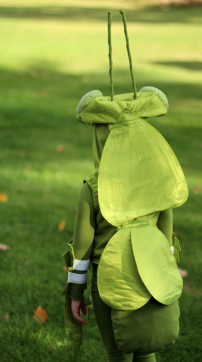 Handmade Halloween Costume: Praying mantis